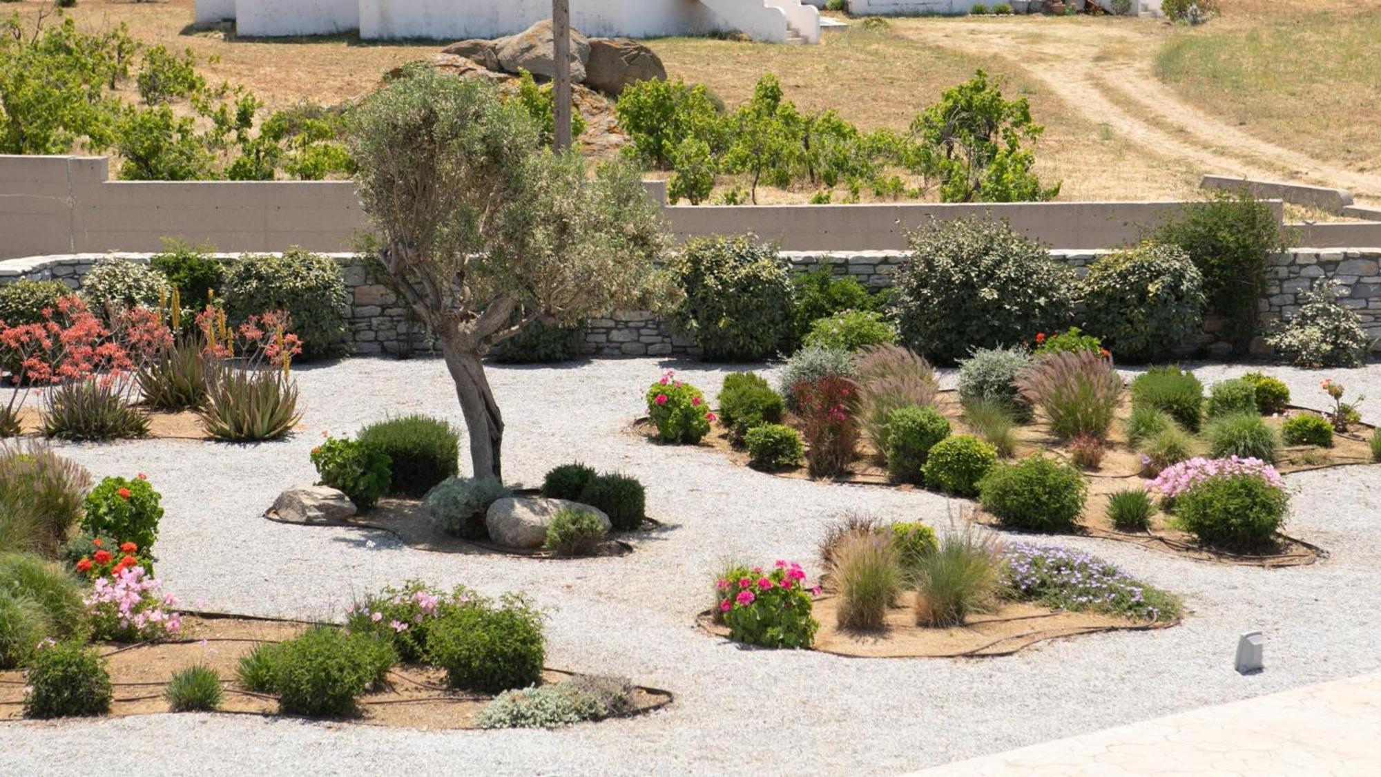 Olives Rocks Naxian Villas Agia Anna  エクステリア 写真