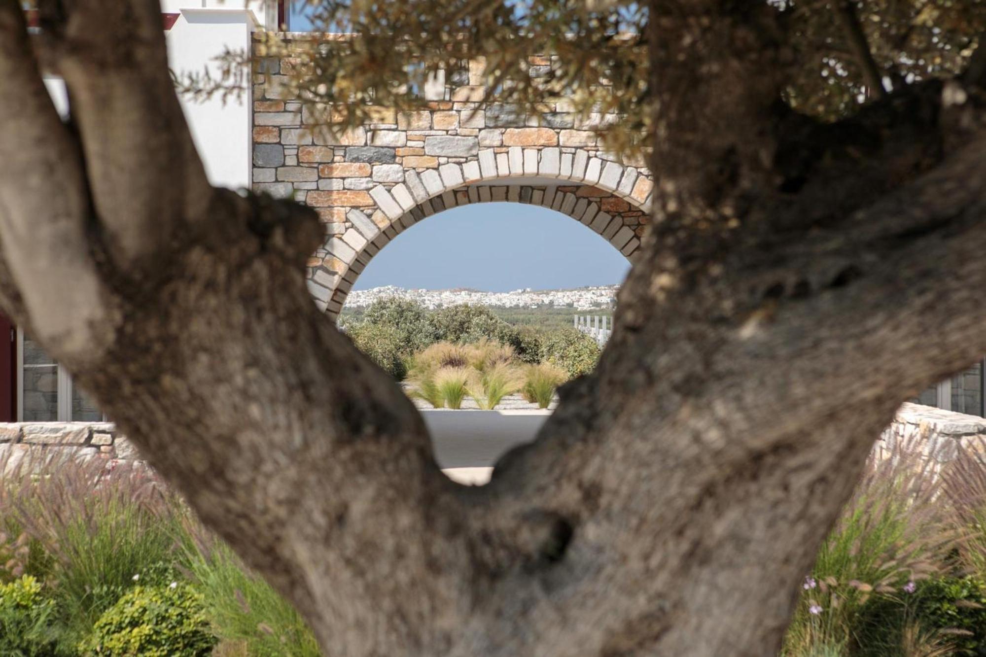 Olives Rocks Naxian Villas Agia Anna  エクステリア 写真